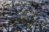 Κλέαρχος Μαρουσάκης, Χειμώνας, - Πού, Αττική,klearchos marousakis, cheimonas, - pou, attiki