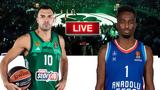 LIVE, Παναθηναϊκός – Αναντολού Εφές,LIVE, panathinaikos – anantolou efes