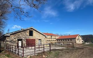 Τατόι, Νέου Βουστασίου, tatoi, neou voustasiou