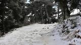 Συνεχίζεται, Πάρνηθα,synechizetai, parnitha