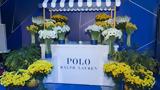 Polo Ralph Lauren,HopeGenesis