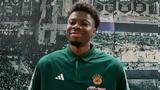 Παναθηναϊκός, Κώστας Αντετοκούνμπο,panathinaikos, kostas antetokounbo
