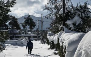 Μαλλιά, Τσικνοπέμπτης, Μαρουσάκη – Πρόγνωση, Κολυδάς, Τσατραφύλλιας, mallia, tsiknopebtis, marousaki – prognosi, kolydas, tsatrafyllias