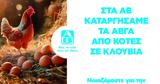 Cage-free, ΑΒ Βασιλόπουλος,Cage-free, av vasilopoulos