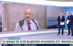 Ρεπόρτερ, Η Ελλάδα, Αγίου Βαλεντίνου - Δείτε, reporter, i ellada, agiou valentinou - deite