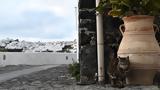 Σαντορίνη, Συνεχίζονται, – Μικροεξάρσεις, Παπαζάχος,santorini, synechizontai, – mikroexarseis, papazachos