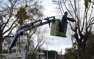 Κλαδεύουν, Τρίτη, Χανίων, kladevoun, triti, chanion