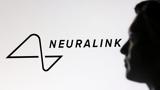 ΗΠΑ, Προσωπικό, FDA, Neuralink, Μασκ,ipa, prosopiko, FDA, Neuralink, mask