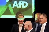 Γερμανία, Σκάνδαλο, AfD,germania, skandalo, AfD