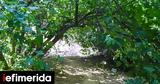 Εργασίες, Ρεματιά Χαλανδρίου -Δημιουργείται,ergasies, rematia chalandriou -dimiourgeitai