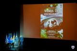 “Wings, Excellence”, Πολεμική Αεροπορία,“Wings, Excellence”, polemiki aeroporia