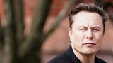 Ashley St, Clair, Έλον Μασκ,Ashley St, Clair, elon mask