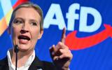 Βάιντελ, Πετύχαμε, - Διπλασιάσαμε, AfD,vaintel, petychame, - diplasiasame, AfD