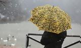 Κακοκαιρία Coral, Ροδόπη, -99,kakokairia Coral, rodopi, -99