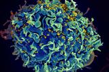 HIV, 500 000, Νότια Αφρική,HIV, 500 000, notia afriki