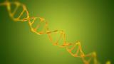 On This Day, History,Chemical Structure, DNA Discovered