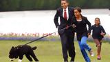 Χαλαρές, Σάσα Ομπάμα, Λος Άντζελες -,chalares, sasa obama, los antzeles -