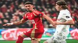 Σταντάρ Λ -Άντερλεχτ 0-2, Σταθερά,stantar l -anterlecht 0-2, stathera