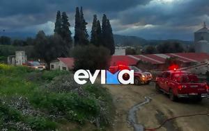 Τραγωδία, Εύβοια – Κάηκε, tragodia, evvoia – kaike