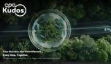 Έρευνα CPA Kudos Greece, MRB Hellas – Δύο, ESG, Ελλάδα, – Ουραγός,erevna CPA Kudos Greece, MRB Hellas – dyo, ESG, ellada, – ouragos