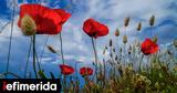 Καιρός, Ανεβαίνει, Πέμπτη -Θα, Κελσίου,kairos, anevainei, pebti -tha, kelsiou