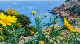 Καιρός, Ριζική,kairos, riziki