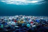 WWF, Αυξάνεται,WWF, afxanetai