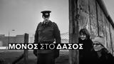Μόνος, Δάσος,monos, dasos