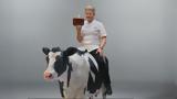 Βιτάμ, Gordon Ramsay,vitam, Gordon Ramsay