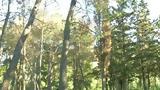 Νεκρώνονται, Υμηττό,nekronontai, ymitto