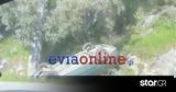 Χαλκίδα, Τούμπαρε,chalkida, toubare