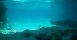 Ιόνιο Πέλαγος, Επιστήμονες, Calypso Deep –, Μεσόγειο, 5 200,ionio pelagos, epistimones, Calypso Deep –, mesogeio, 5 200