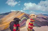 Sony World Photography Awards 2025, Αποκάλυψε,Sony World Photography Awards 2025, apokalypse