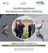 Λέσβος, Ορνιθοπαρατήρηση, Κόλπου Καλλονής,lesvos, ornithoparatirisi, kolpou kallonis