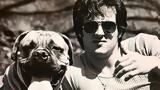 Butkus,Stallone