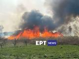 Μάχη, Καστοριά – Πολλαπλά,machi, kastoria – pollapla