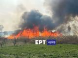 Μάχη, Καστοριά – Εφτά,machi, kastoria – efta