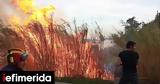 Φωτιά, Σάμο -Επιχειρεί, Πυροσβεστική,fotia, samo -epicheirei, pyrosvestiki