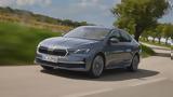 Χρονιά, Skoda, 2024,chronia, Skoda, 2024