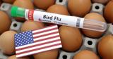 ΗΠΑ, Έξαρση, H7N9, 2017,ipa, exarsi, H7N9, 2017