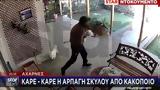 Μενίδι, Άρπαξε, - Βίντεο,menidi, arpaxe, - vinteo