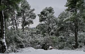 Κλειστή, Πάρνηθας, kleisti, parnithas