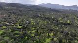Όπου, Ελλάδα, Επόμενη, Καλαμάτα,opou, ellada, epomeni, kalamata