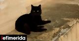 Πάσχα -Παρεξηγήσεις,pascha -parexigiseis