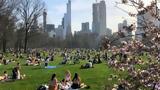 ΗΠΑ, Σέντραλ Παρκ,ipa, sentral park