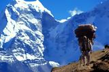 Drones, Εβερεστ,Drones, everest
