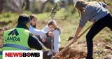 LAMDA Development, Πεντέλη,LAMDA Development, penteli