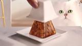 Purina, Gourmet Revelations Fine Cuts, Ζελέ,Purina, Gourmet Revelations Fine Cuts, zele