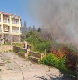Μεσσηνία, Φωτιά, Λαχανάδα,messinia, fotia, lachanada