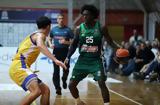 LIVE, ΠΑΝΑΘΗΝΑΪΚΟΣ - ΛΑΥΡΙΟ,LIVE, panathinaikos - lafrio